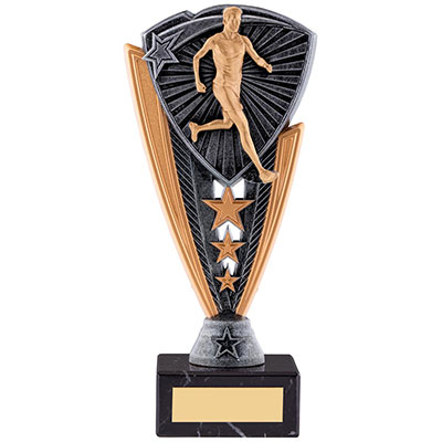 Male Runner Award 195mm